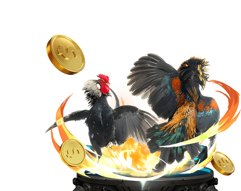 Khuyến Mãi Casino